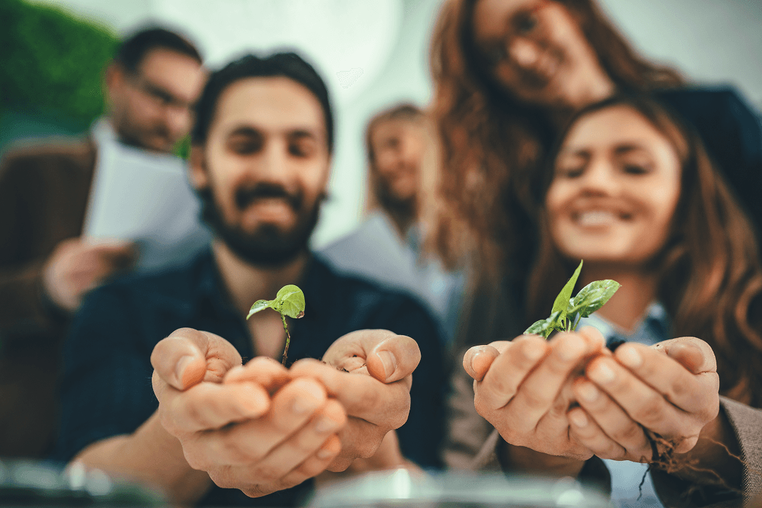 Opłata roczna BDO - informacje o płatnościach